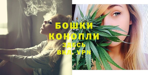 спиды Аркадак
